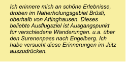 Ich erinnere mich an schöne Erlebnisse, droben im Naherholungsgebiet Brüsti, oberhalb von Attinghausen. Dieses beliebte Ausflugsziel ist Ausgangspunkt für verschiedene Wanderungen. u.a. über den Surenenpass nach Engelberg. Ich habe versucht diese Erinnerungen im Jütz auszudrücken.