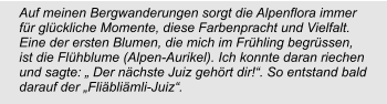 Auf meinen Bergwanderungen sorgt die Alpenflora immer für glückliche Momente, diese Farbenpracht und Vielfalt. Eine der ersten Blumen, die mich im Frühling begrüssen, ist die Flühblume (Alpen-Aurikel). Ich konnte daran riechen und sagte: „ Der nächste Juiz gehört dir!“. So entstand bald darauf der „Fliäbliämli-Juiz“.